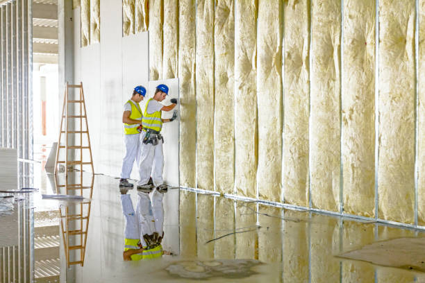 Best Energy Efficiency Insulation in Schwenksville, PA